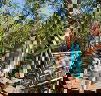 Wangi Falls - Sunshine Coast Tourism