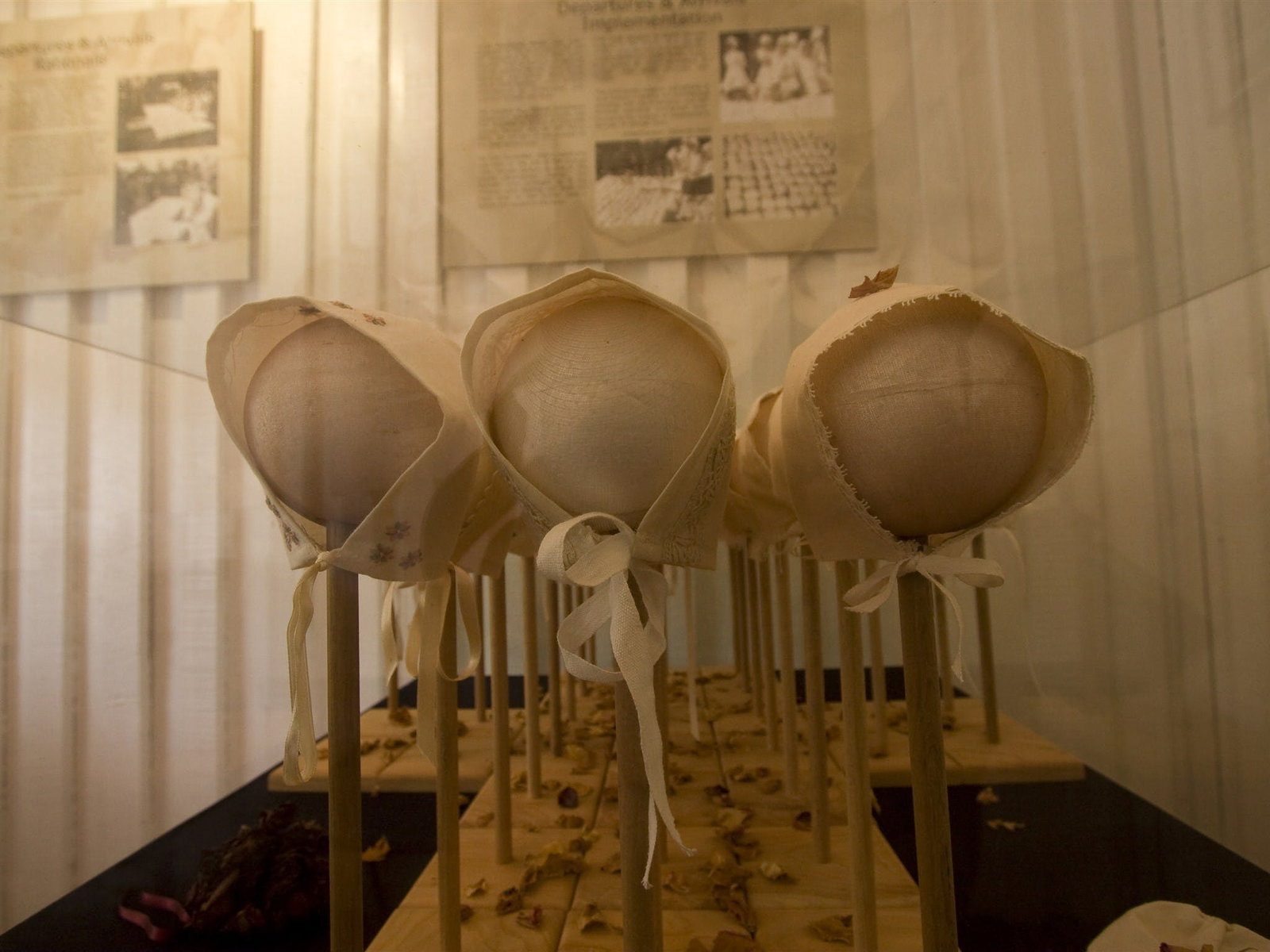 Holiday Sunshine Coast