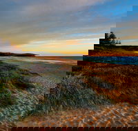 Werri Beach and Point - Sunshine Coast Tourism