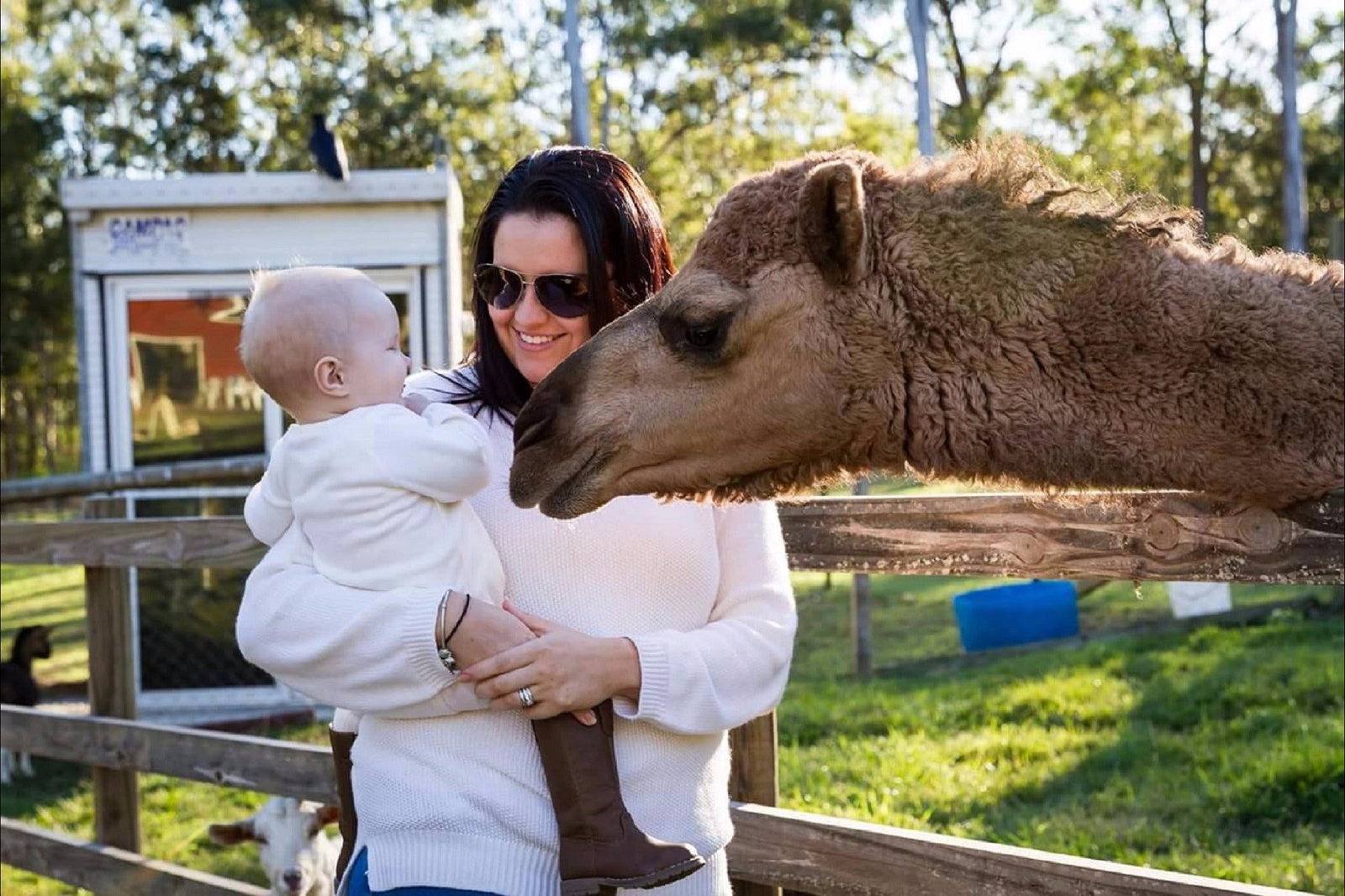 Elimbah QLD Holiday Sunshine Coast