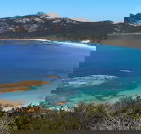 Whitemark - Sunshine Coast Tourism