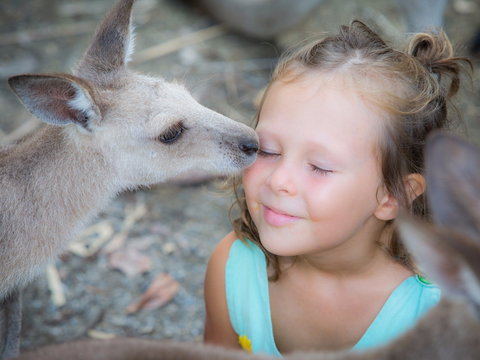 Wildlife Habitat - Holiday Sunshine Coast 1