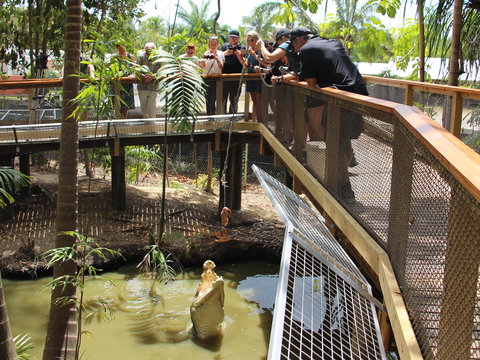Wildlife Habitat - Holiday Sunshine Coast 2