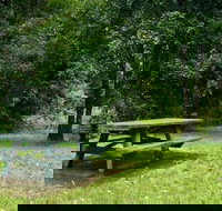 Williams River picnic area - Sunshine Coast Tourism