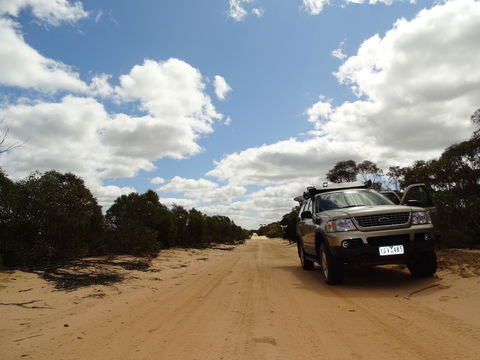 Wyperfeld National Park - Holiday Sunshine Coast 1