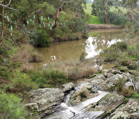 Yarrambat Park - Sunshine Coast Tourism 1