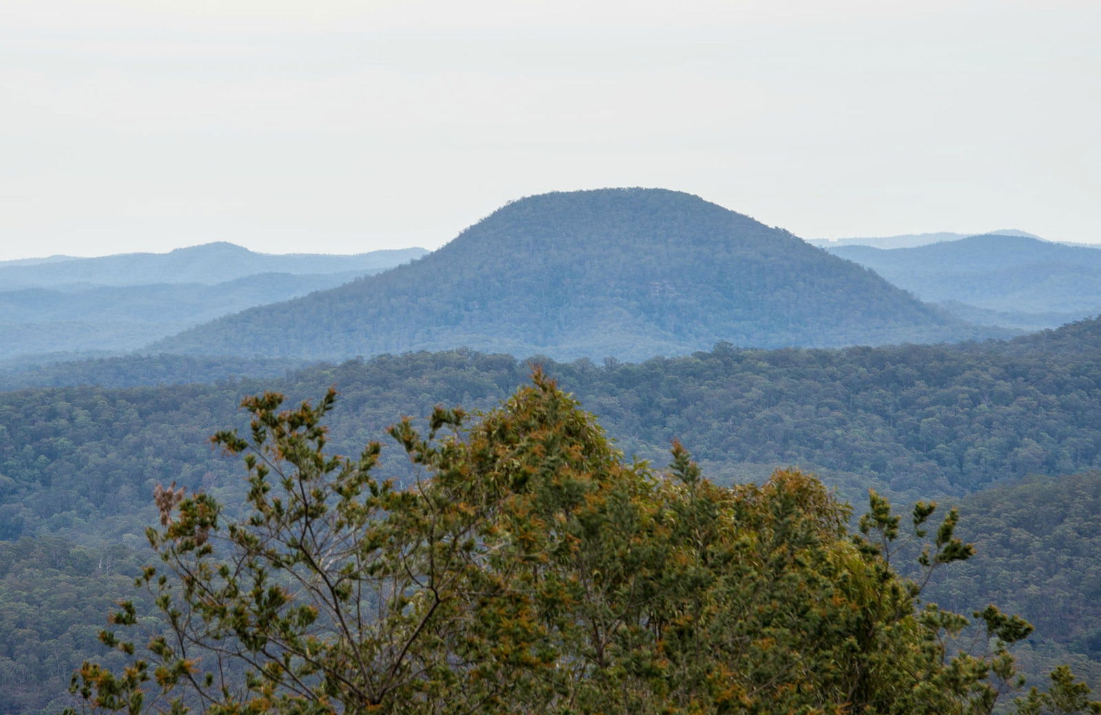Moruben NSW Sunshine Coast Tourism