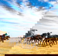 14 Day Gems of the Outback