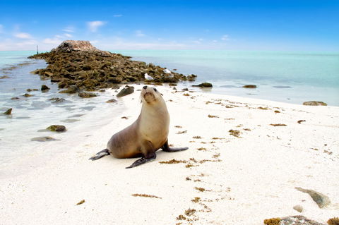 Abrolhos Islands - Sunshine Coast Tourism 0