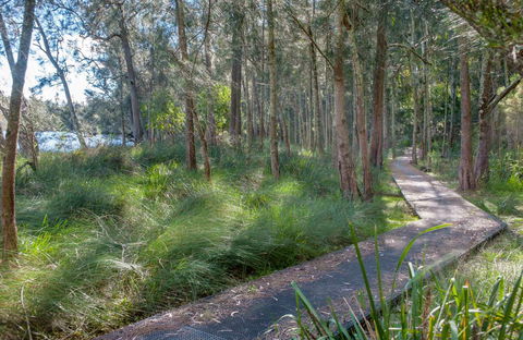 Anabranch Loop Track - Holiday Sunshine Coast 0