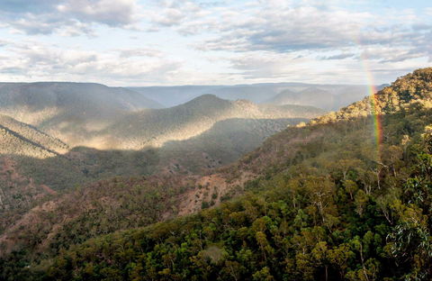 Badgerys Spur Walking Track - Sunshine Coast Tourism 0