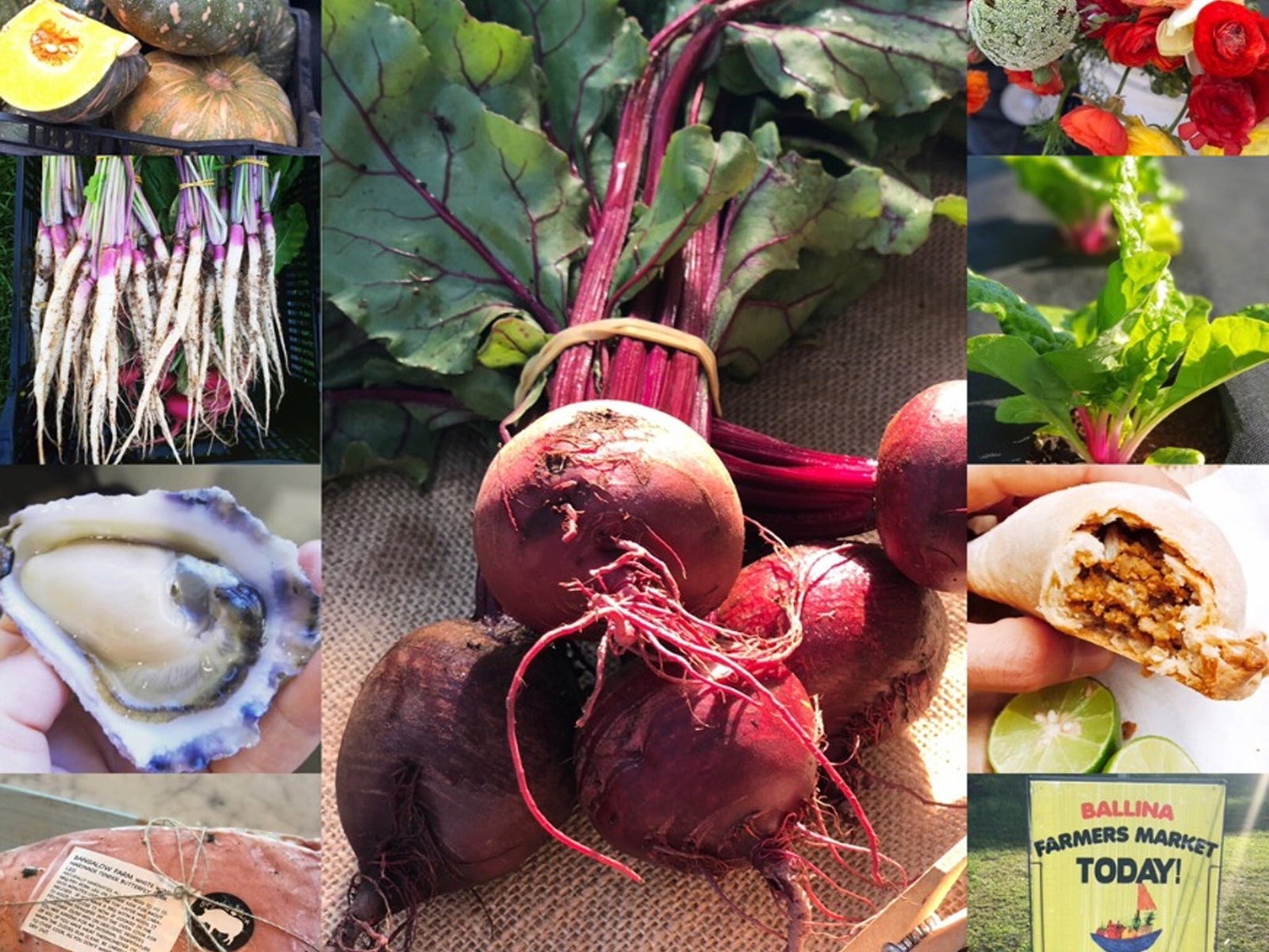 Sunshine Coast Tourism