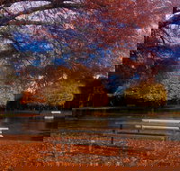 Bells Parade Reserve - Sunshine Coast Tourism