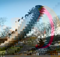 Big Trout - Sunshine Coast Tourism