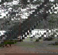 Big Brook Arboretum - Holiday Sunshine Coast