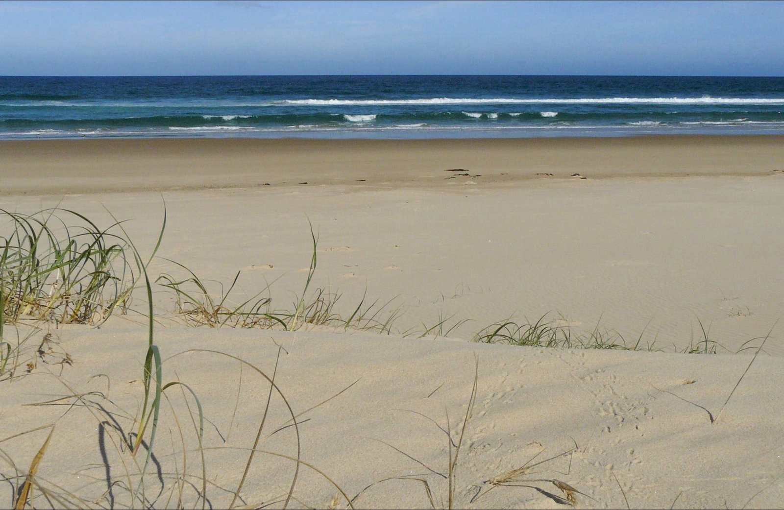  Sunshine Coast Tourism