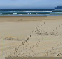 Bongil Beach - Sunshine Coast Tourism