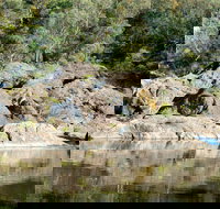 Boonoo Boonoo National Park - Holiday Sunshine Coast