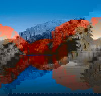 Boodjamulla Lawn Hill National Park - Sunshine Coast Tourism