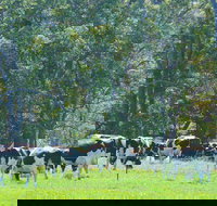 Boyanup - Sunshine Coast Tourism