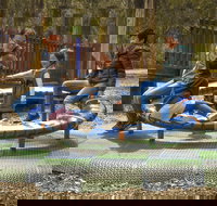 Braeside Park - Sunshine Coast Tourism