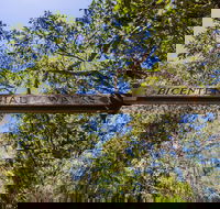 Bribie Island Bicentennial Trails