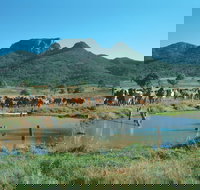 Bundaberg- Biggenden- Mount Perry Circle - Sunshine Coast Tourism