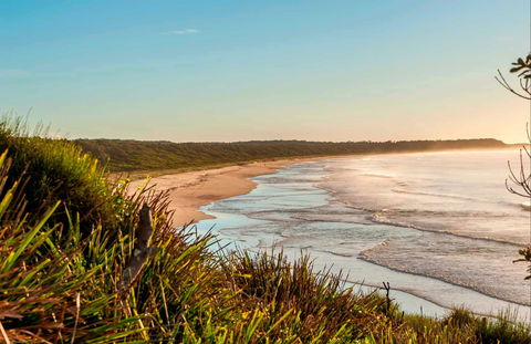 Burrawang Track - Conjola Beach To Buckleys Point - Sunshine Coast Tourism 0