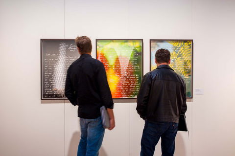 Caboolture Regional Art Gallery - Sunshine Coast Tourism 0