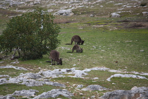 Cape Borda Lightstation - Flinders Chase National Park - Holiday Sunshine Coast 2
