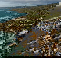 Cape Melville National Park CYPAL