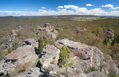 Castle Rocks Walk - Sunshine Coast Tourism 0