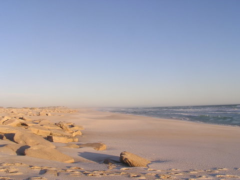 Chadinga Conservation Park - Sunshine Coast Tourism 0
