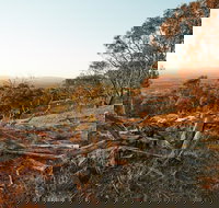 Chick Hill Walk - Sunshine Coast Tourism