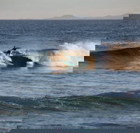 Coffs Coast State Park - Holiday Sunshine Coast