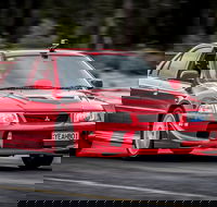 Collie Motorplex