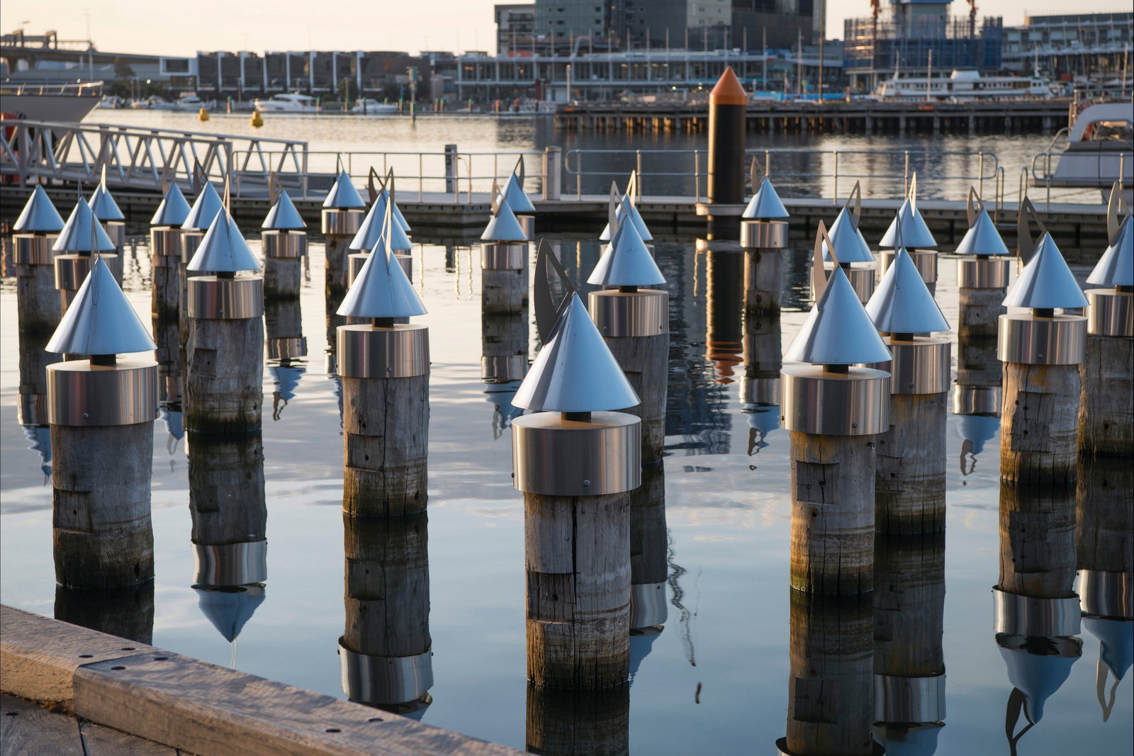 Holiday Sunshine Coast