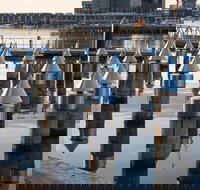 Docklands - Holiday Sunshine Coast