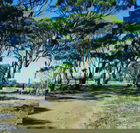 Dumbleyung - Sunshine Coast Tourism