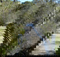 Falcon Crescent Link Track - Sunshine Coast Tourism