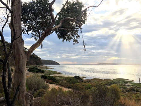 Fish Cannery Walking Trail - Holiday Sunshine Coast 0