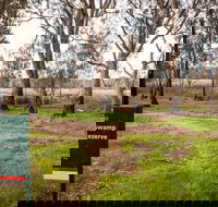 Gemmill Swamp Wildlife Reserve - Sunshine Coast Tourism