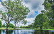 Gold Coast Regional Botanic Gardens - thumb 0