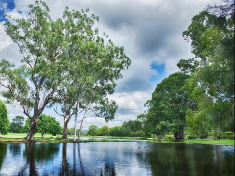 Gold Coast Regional Botanic Gardens - Sunshine Coast Tourism 0