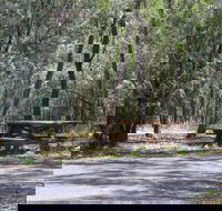 Goonoowigall State Conservation Area - Holiday Sunshine Coast