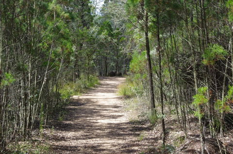 Goonoowigall State Conservation Area - Sunshine Coast Tourism 1