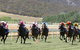 Goulburn And District Racing Club - thumb 1