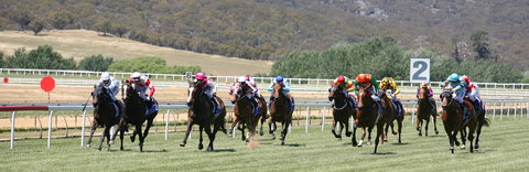 Goulburn And District Racing Club - Sunshine Coast Tourism 1