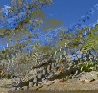 Green track - Holiday Sunshine Coast