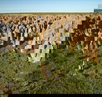 Gulf Region - Sunshine Coast Tourism